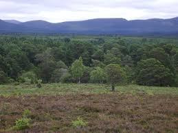 Rothiemurchus Centre
